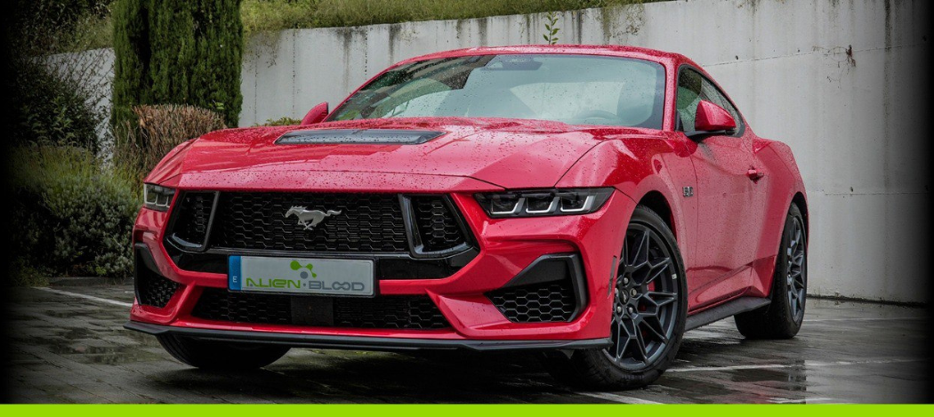 SORTEO DEL FORD MUSTANG V8 / TESLA MODEL 3 PF